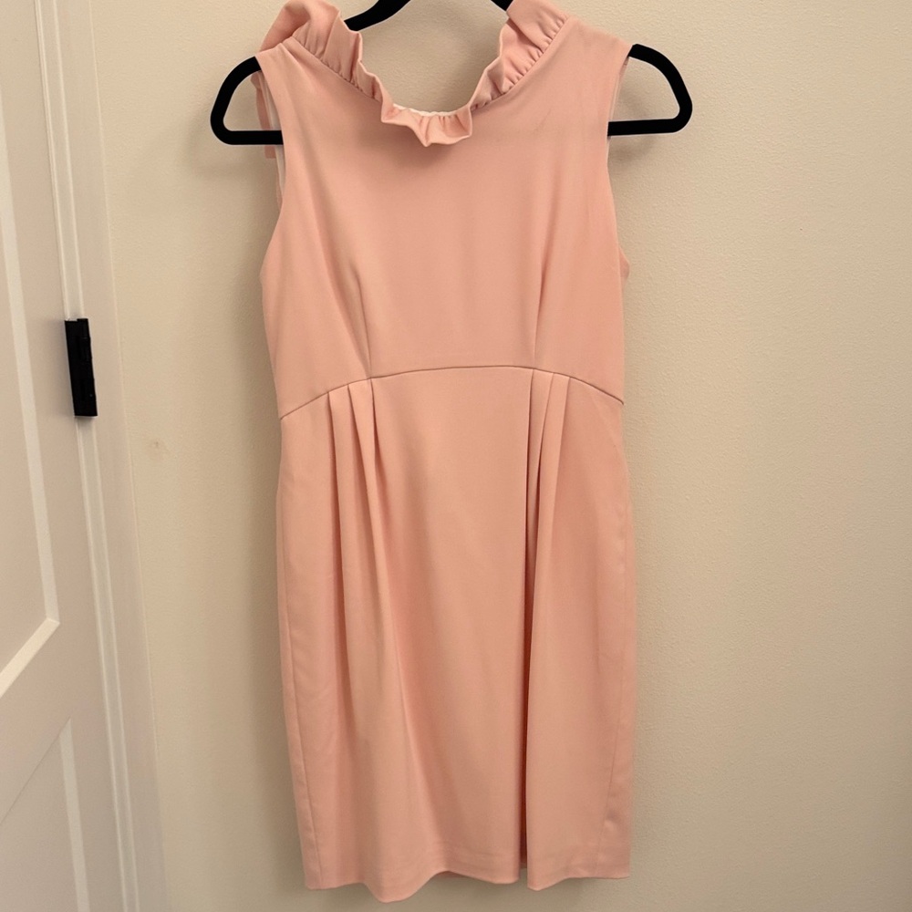 Elegant Blush Ruffle Mini Dress